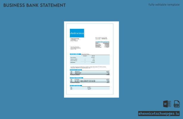 Charles Schwab Geschäftskontoauszug – Beispielansicht (Word und PDF)